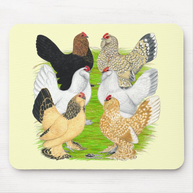 D'Uccles Six Hens Mouse Pad (Front)