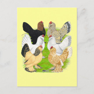 D'Uccles Six Hens Postcard