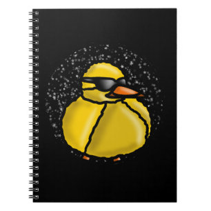 Duck 1 notebook