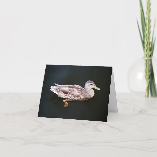 Duck 907b card (Front)