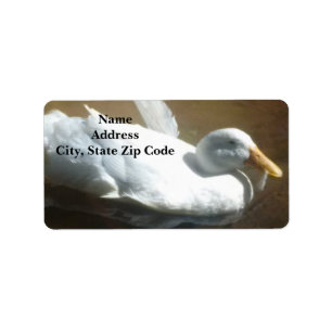 Duck Address Labels