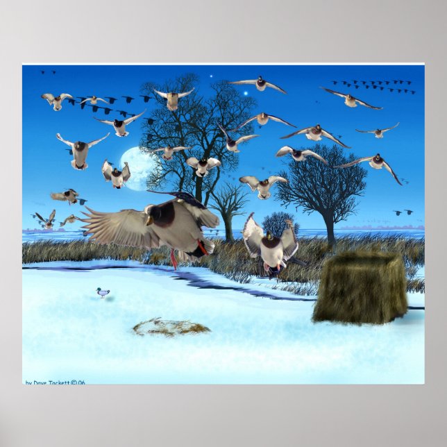 Duck Blind Print (Front)