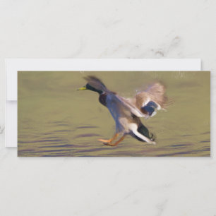 Duck BookMark
