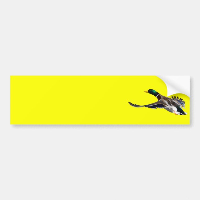 duck bumper sticker (Front)