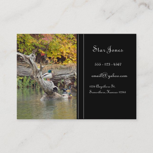 Duck Business card (Front)