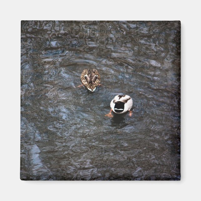 DUCK BUTTS MAGNET (Front)