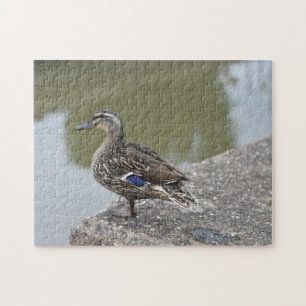Duck by the Water Bird Nature Photography Jigsaw Puzzle