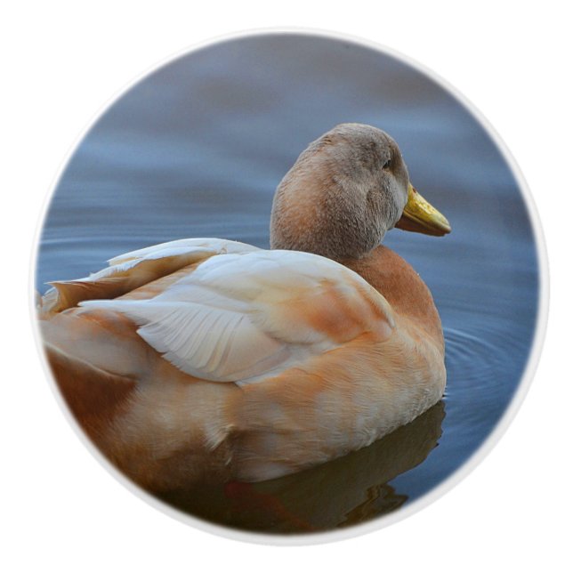 Duck Ceramic Knob (Front)