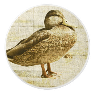 Duck Ceramic Knob