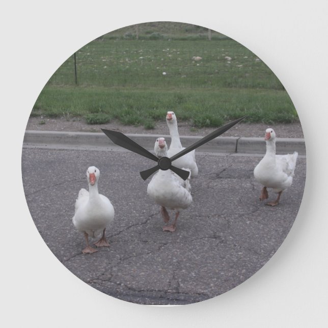 Duck Clock (Front)