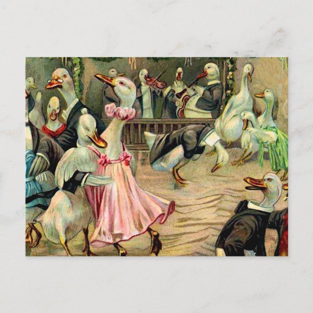 Duck Dancing in a Nightclub Postcard (Front)