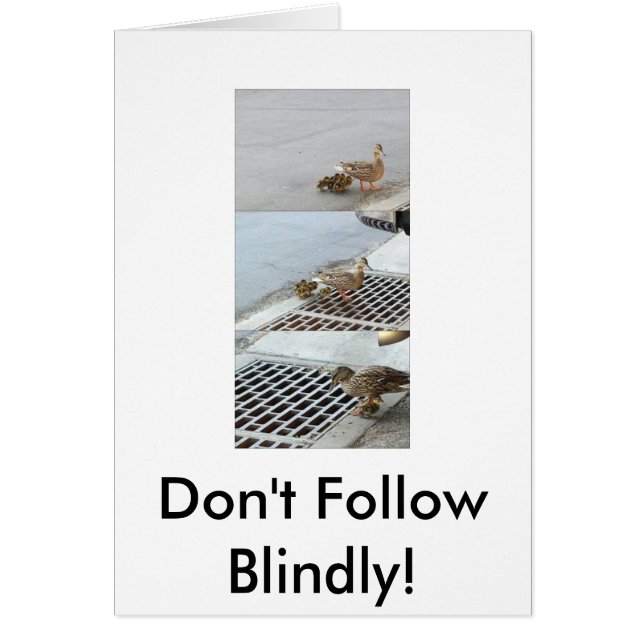 duck, Don't Follow Blindly! (Front)