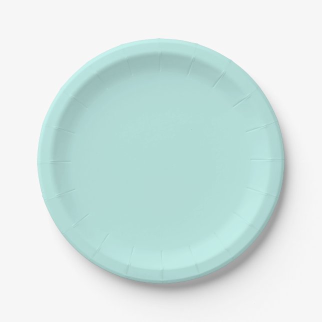 Duck egg - Solid colour aqua blue Paper Plate (Front)