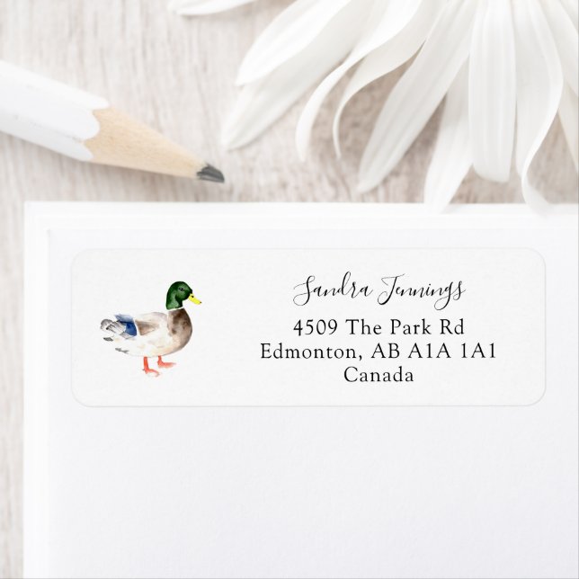 Duck Elegant Minimalist Simple Chic Watercolor (Insitu)