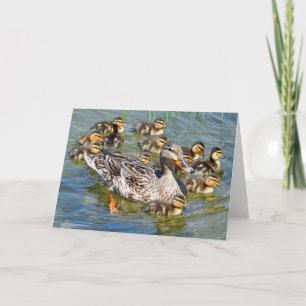 Duck Family Greeting Card