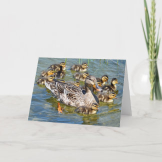 Duck Family Greeting Card