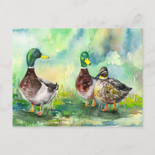 duck family postcard