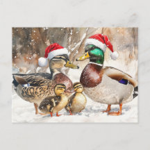 Duck Family Postcard