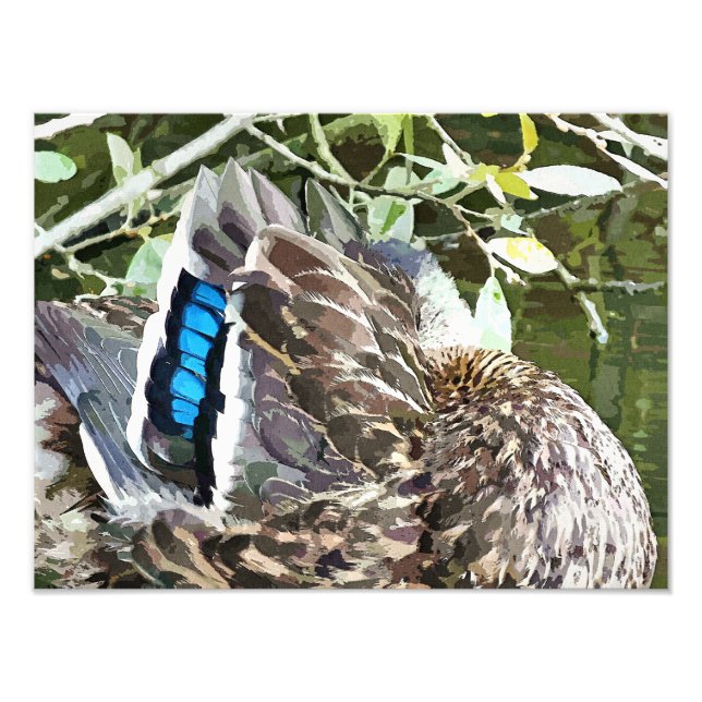 DUCK FEATHERS PHOTO PRINT (Front)