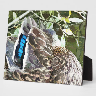 DUCK FEATHERS PLAQUE