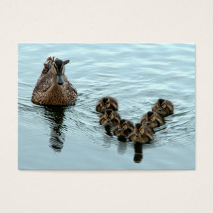Duck formation