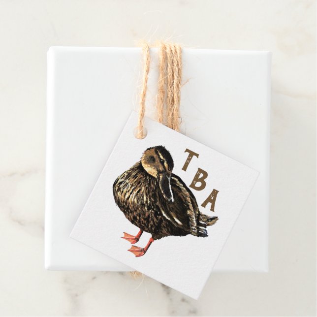Duck Gift Tag (In Situ)
