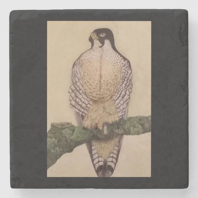 duck hawk Stone Coaster (Front)