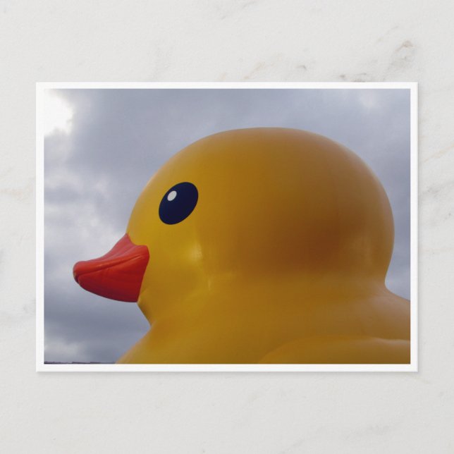 duck head postcard (Front)