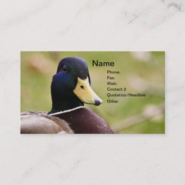 Duck Hunting Business Card (Front)