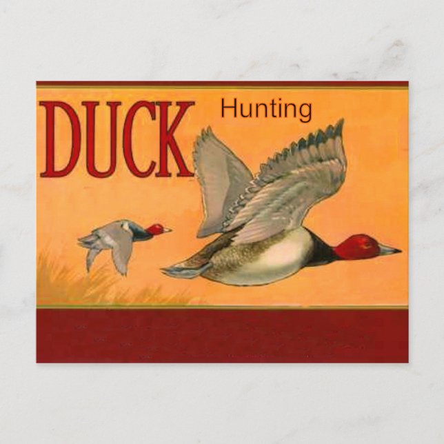 Duck Hunting Postcard (Front)