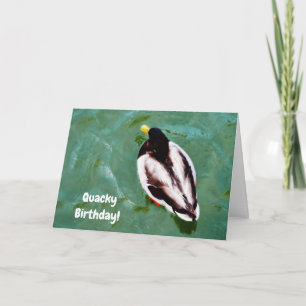 Duck In a Lake Quacky Birthday Card