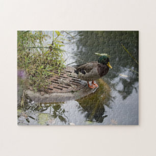 Duck in a Pond Jigsaw Puzzle