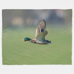 DUCK in FLIGHT Fleece Blanket