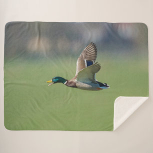 DUCK in FLIGHT Sherpa Blanket