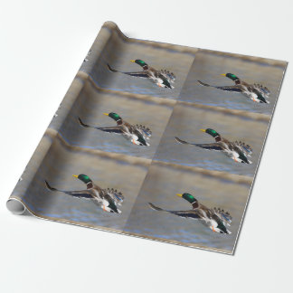 duck in flight wrapping paper