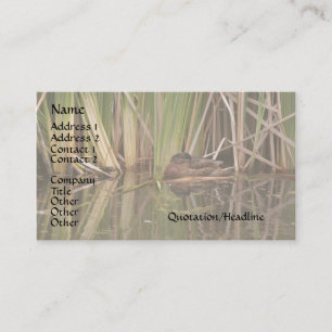 Duck in Reeds Business Card