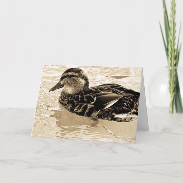 Duck in Sepia all occasions Card (Front)