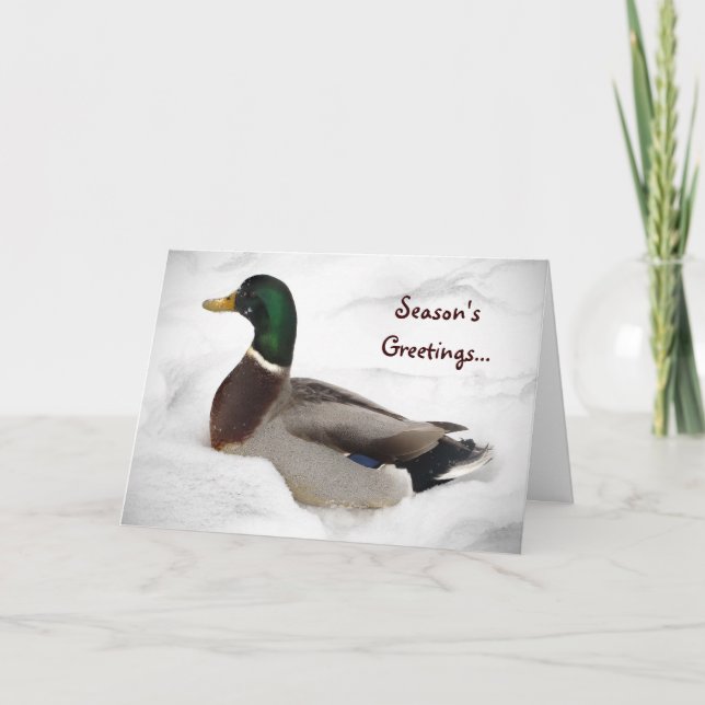 Duck in Snow Seasons Greetings Holiday Card (Front)