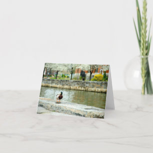 Duck in the Harbour Thank You Card