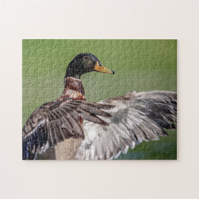 Duck in the Hudson Valley Jigsaw Puzzle (Horizontal)