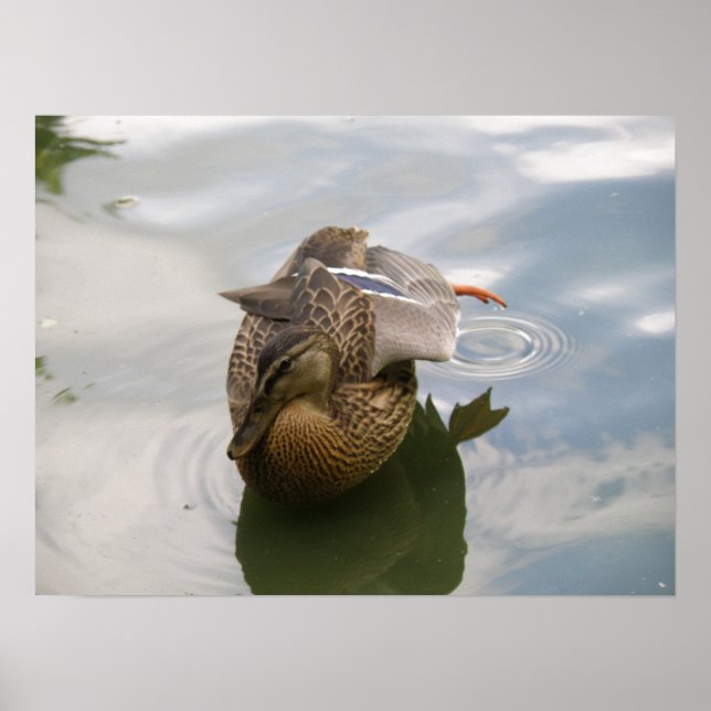 Duck Lake Print (Front)