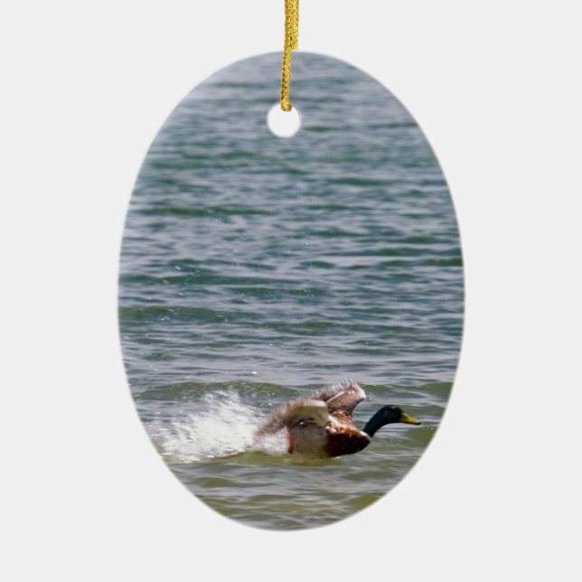 Duck Landing in Water Ceramic Tree Decoration (Front)