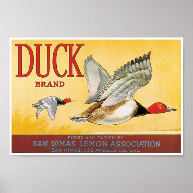 Duck Lemon San Dimas Los Angeles County California Poster (Front)