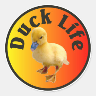 Duck Life Sticker