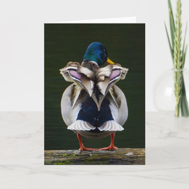 Duck Love Thank You Card (Front)