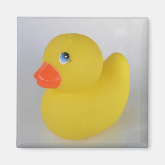 Duck Magnet