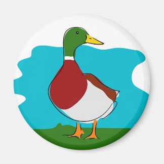 Duck Magnet