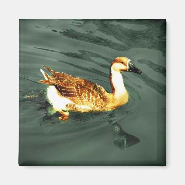 Duck Magnet (Front)
