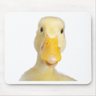 Duck Mouse Pad