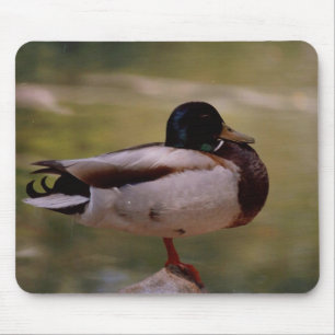 Duck Mousepad